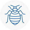 Bed Bug Extermination In Hebden Bridge